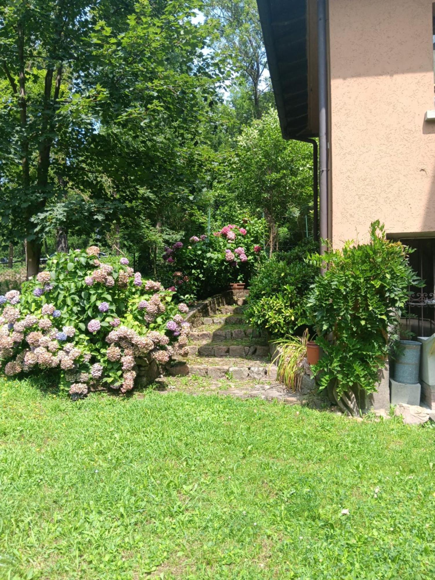 L'Angolino Di Magda: On The Lake-Private Beach! Ghirla Exterior photo